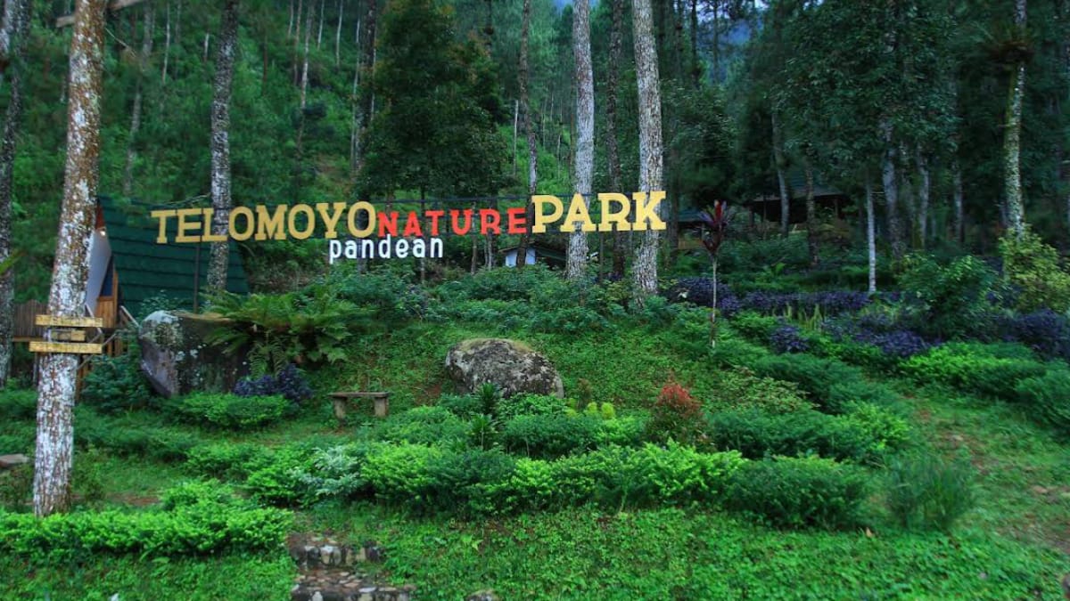 Jelajahi Telomoyo Nature Park: Surga Alam di Kaki Gunung Berapi